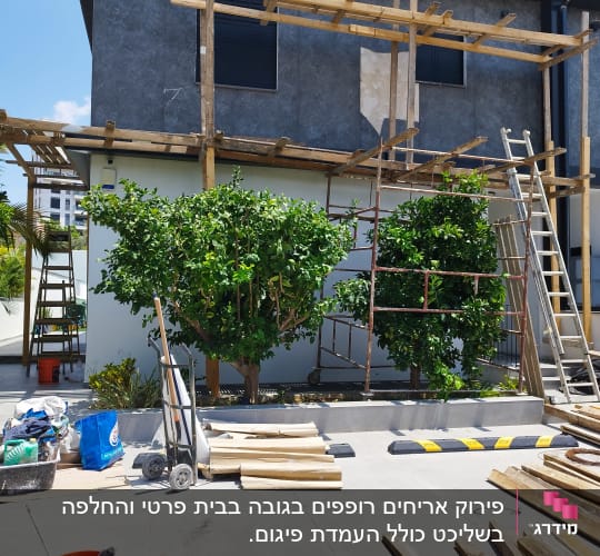 פיגומים מעץ ליד בניין, ציוד בנייה על הקרקע